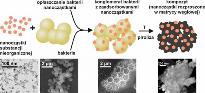 Ogólny schemat preparatyki układu kompozytowego 3D