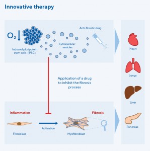 photo showing how the application of the drug works